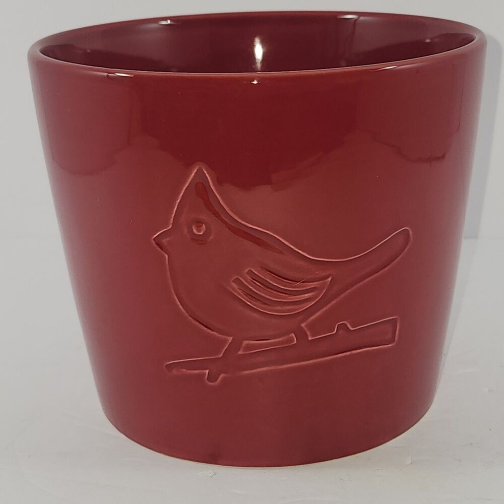 Red Bird Flower, Garden, Kitchen Pot